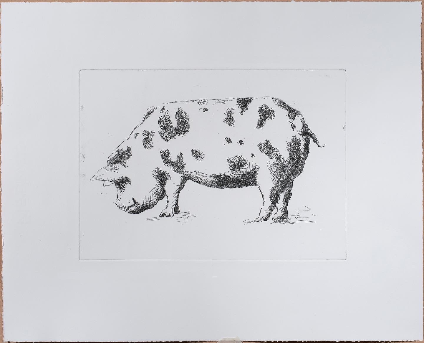 Pig – Phoebe Dickinson